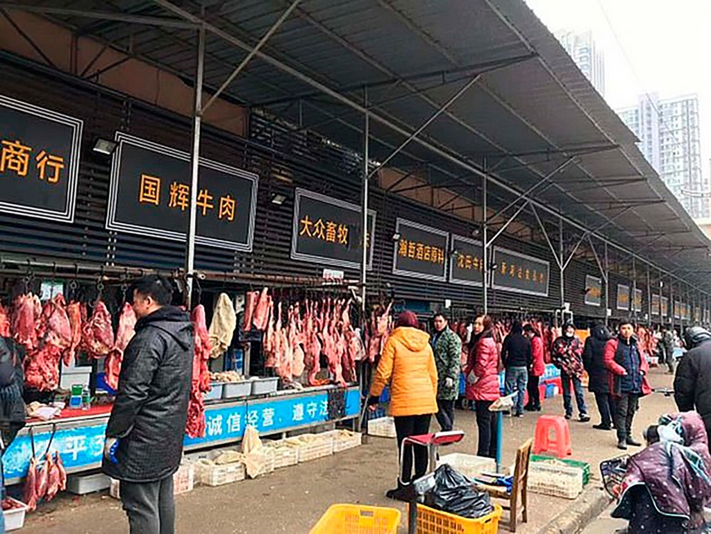 China: Vuelven a vender murciélagos y carne de animales domésticos a pesar del Coronavirus